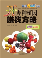 开办种植园赚钱方略