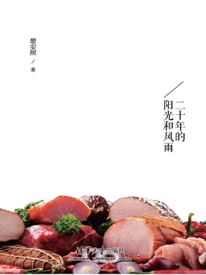 回望——二十年的阳光