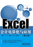 Excel会计电算化与应