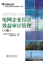 电网企业经济效益审计