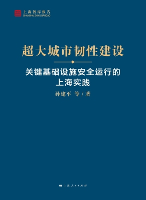 超大城市韧性建设——