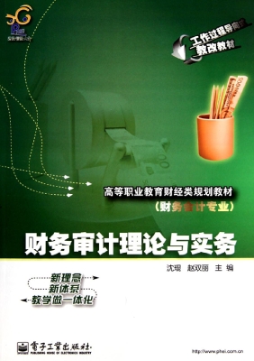 财务审计理论与实务