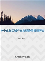 中小企业区域产业集群