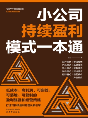 小公司持续盈利模式一