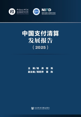中国支付清算发展报告