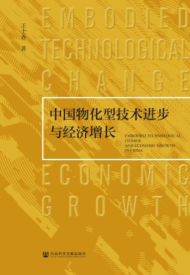 中国物化型技术进步与