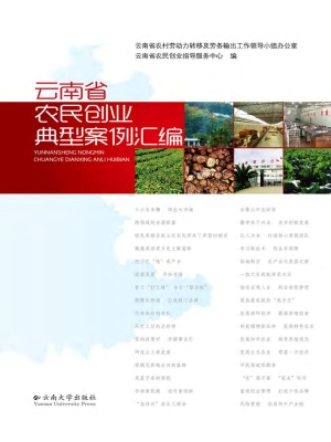 云南省农民创业典型案
