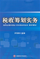税收筹划实务