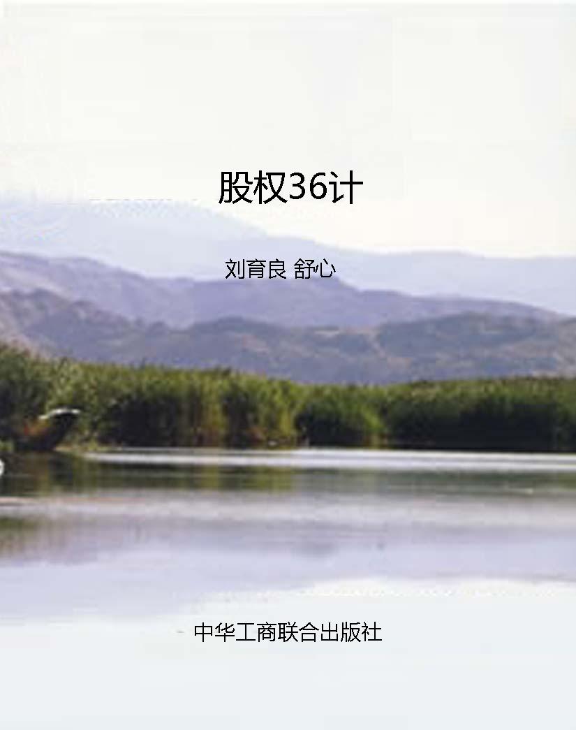 股权36计