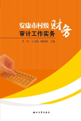安康市村级财务审计工