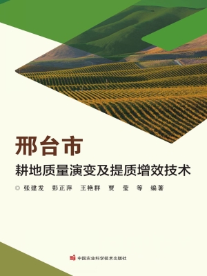 邢台市耕地质量演变及