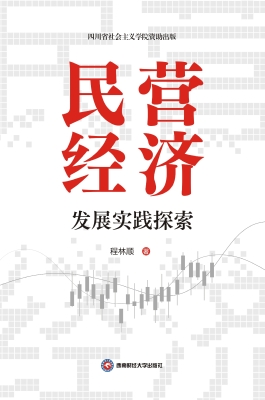 民营经济发展实践探索