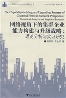 网络视角下的集群企业