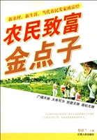 农民致富金点子