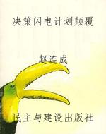 决策闪电计划颠覆