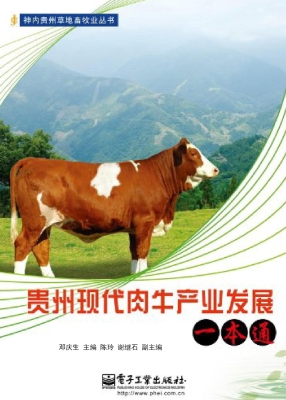 贵州现代肉牛产业发展