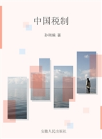 中国税制