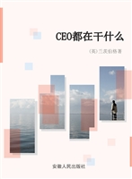 CEO都在干什么