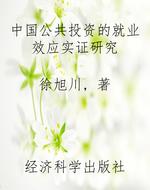 中国公共投资的就业效