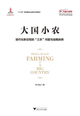 大国小农——现代化新