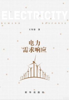 电力需求响应