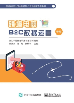 跨境电商B2C数据运营（