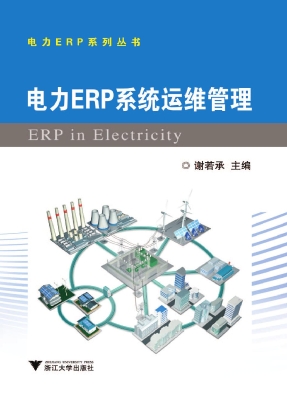 电力ERP系统运维管理