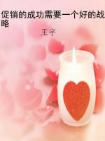 促销的成功需要一个好