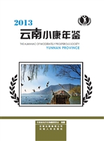云南小康年鉴（2013）