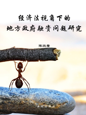 经济法视角下的地方政