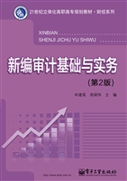 新编审计基础与实务