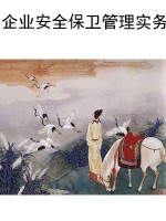 企业安全保卫管理实务