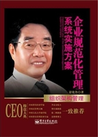 企业规范化管理系统实