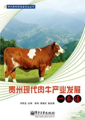 贵州现代肉牛产业发展