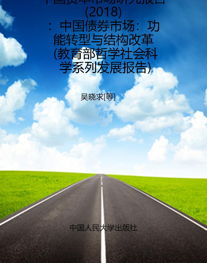 中国资本市场研究报告