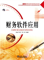 财务软件应用