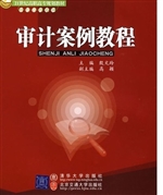 审计案例教程