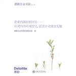 企业内部控制评价