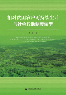 相对贫困农户可持续生