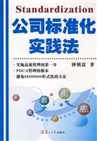 公司标准化实践法