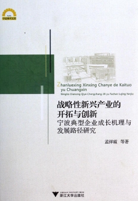 战略性新兴产业的开拓