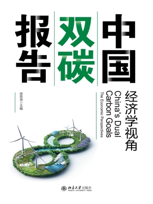 中国双碳报告：经济学视