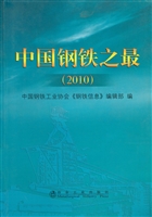 中国钢铁之最（2010）