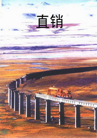 直 销