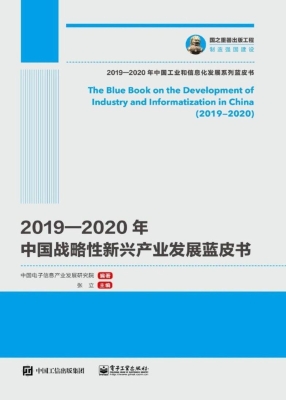2019—2020年中国战略