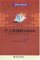 个人所得税业务实训