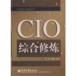 CIO综合修炼