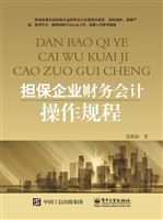 担保企业财务会计操作