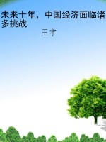 未来十年，中国经济面临