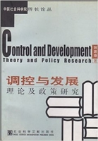 调控与发展：理论及政策